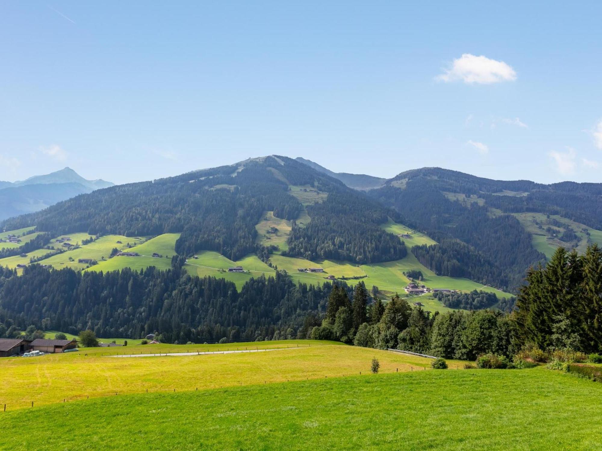 Haus Fernwald Top Tim Und Nynke Alpbach Eksteriør bilde